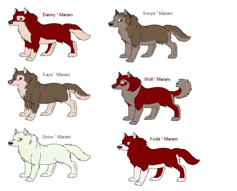 puppys to adoption !!!!