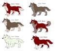 puppys to adoption !!!!