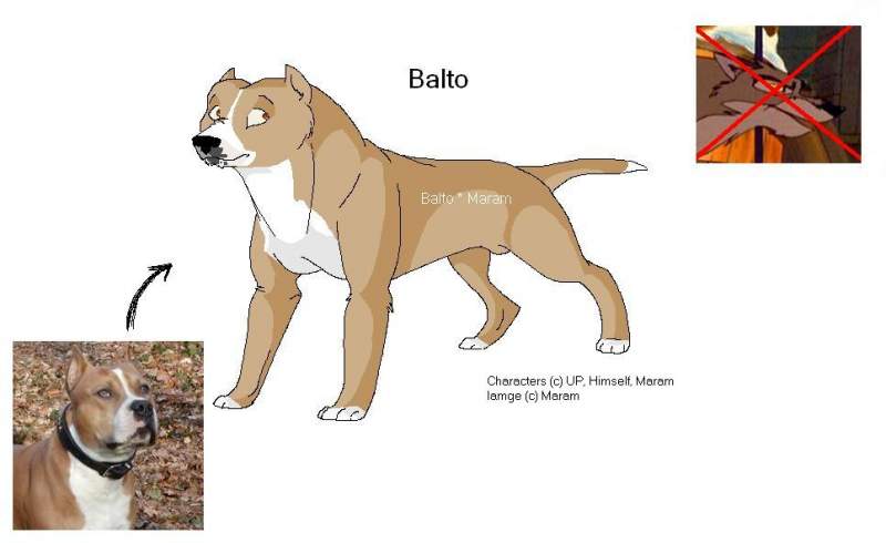 Balto ?