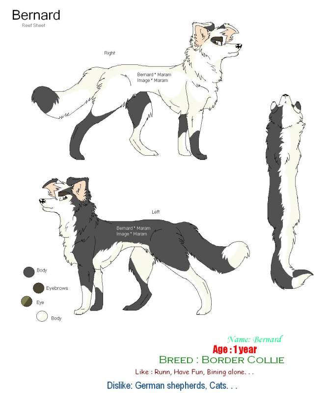 Bernard reef sheet