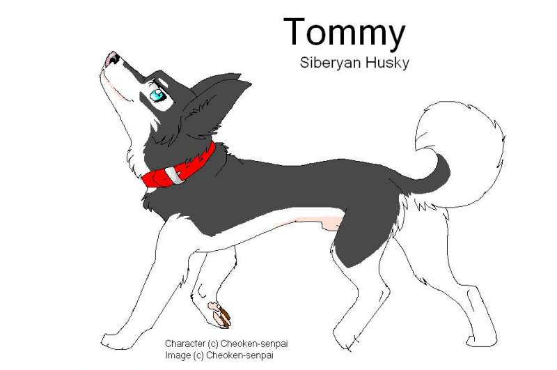 Tommy for Thorn's contest !!!