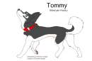 Tommy for Thorn's contest !!!
