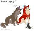 Black Puppy ?