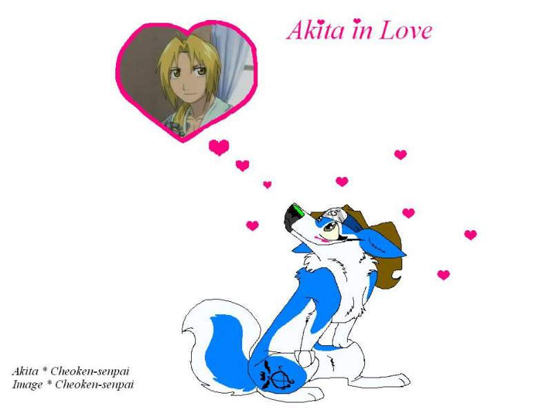 Akita in Love