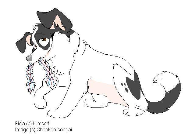 Picia puppy