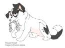 Picia puppy