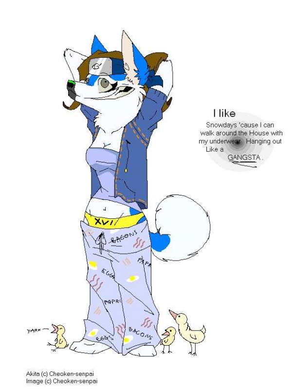 Akita !