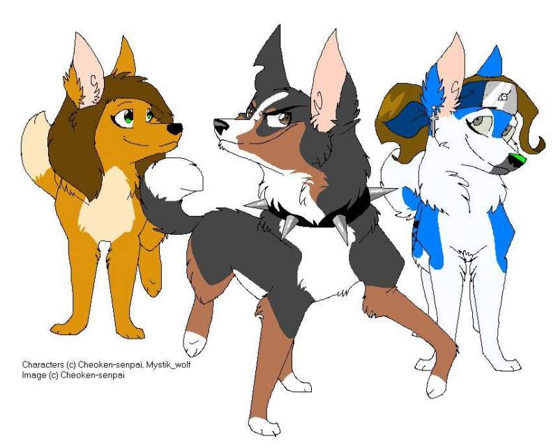 Trio