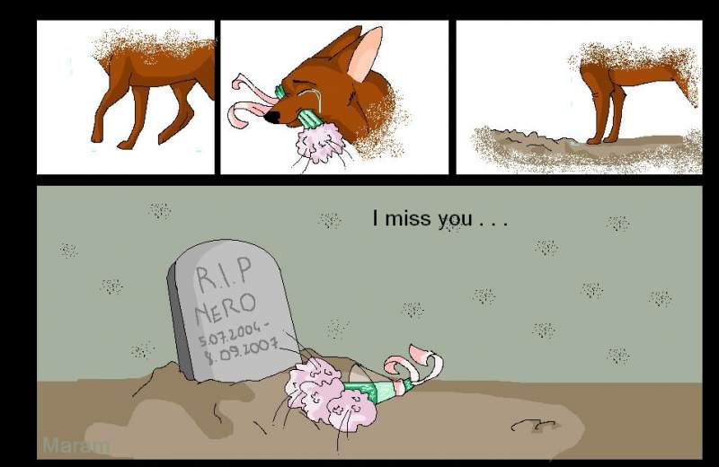 I miss you ....