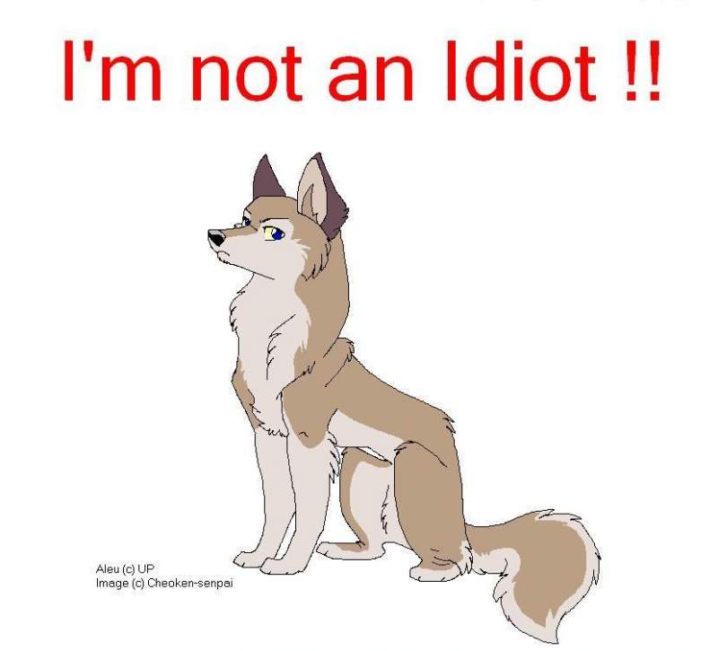 Not a Idiot !!!