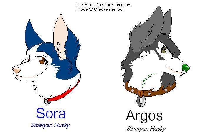 Akita's parents