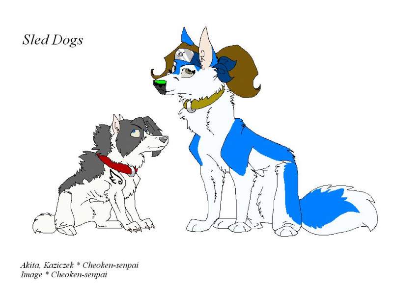 Akita & Kaziczek