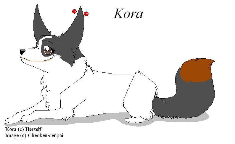 Kora