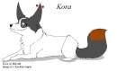 Kora