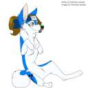 Just Akita