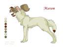Maram ?