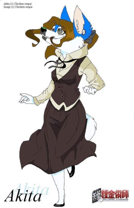 Akita-chan
