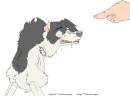 These DOG !!!!!!!!!