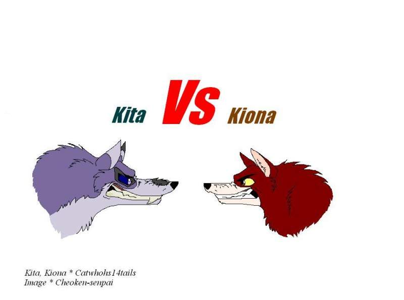 Kita Vs Kiona