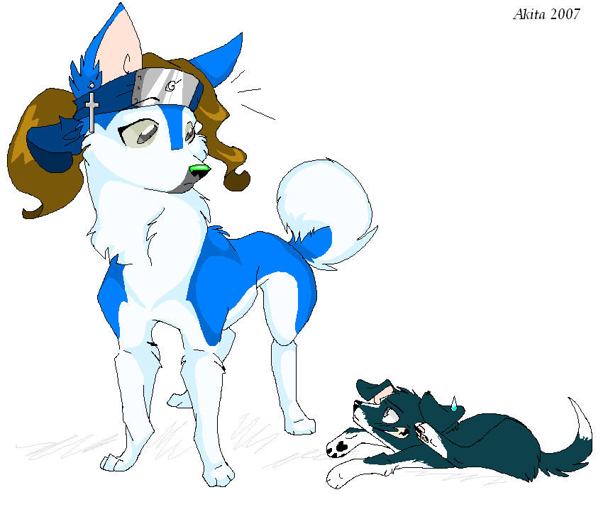 Akita and Amsty