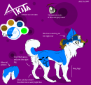 Akita reff sheet