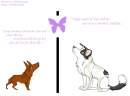 Picia + Dot