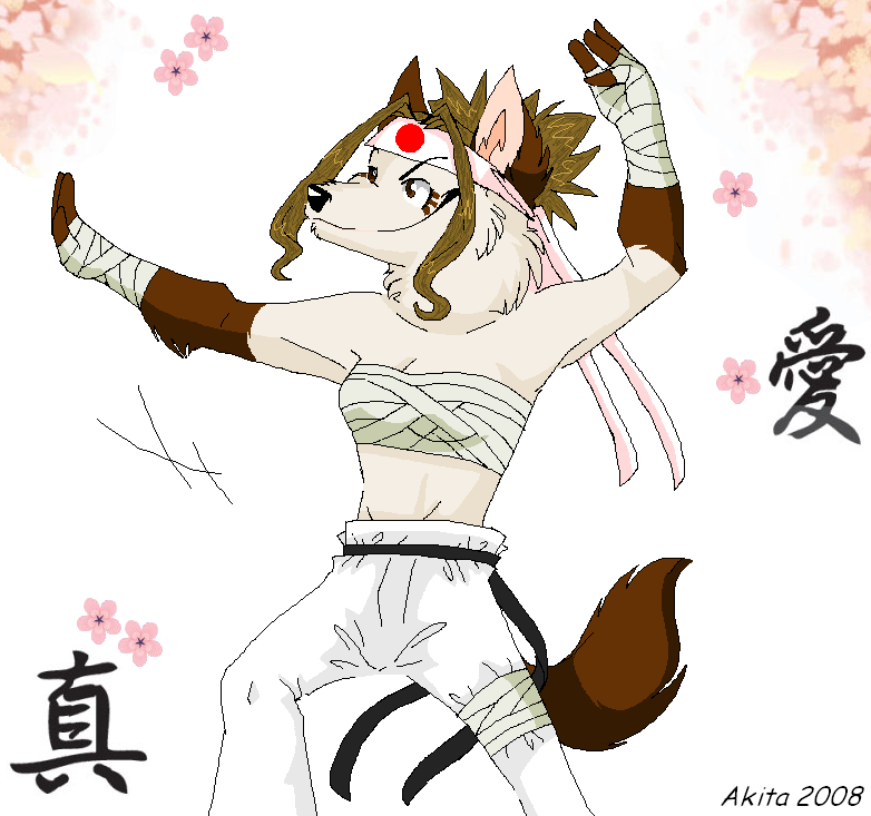 Everybody was Kung-Fu fighting! >:3 ::AT::
