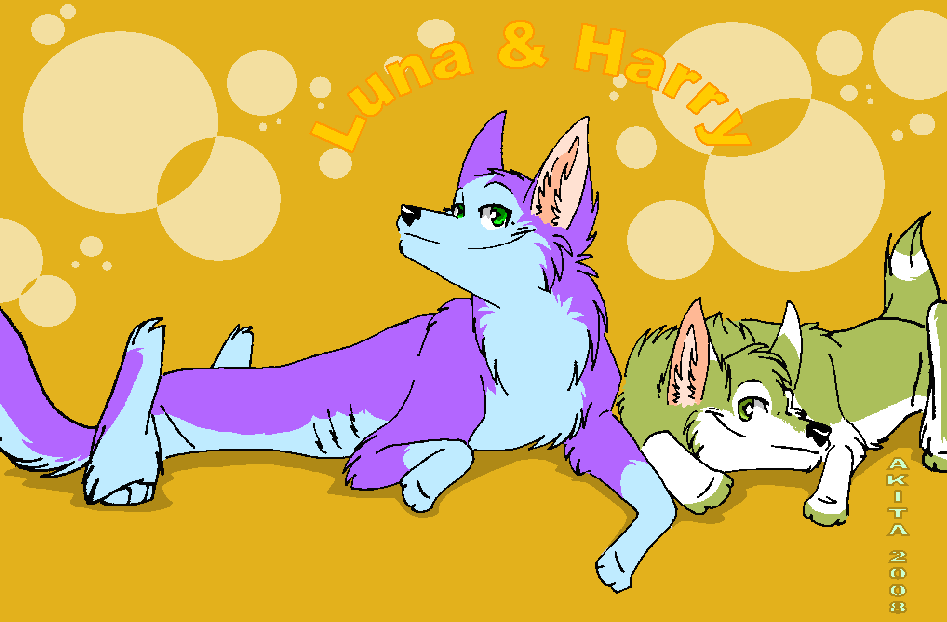 ::Such bright colour dogs^^::