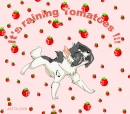 Tomato wallpeper