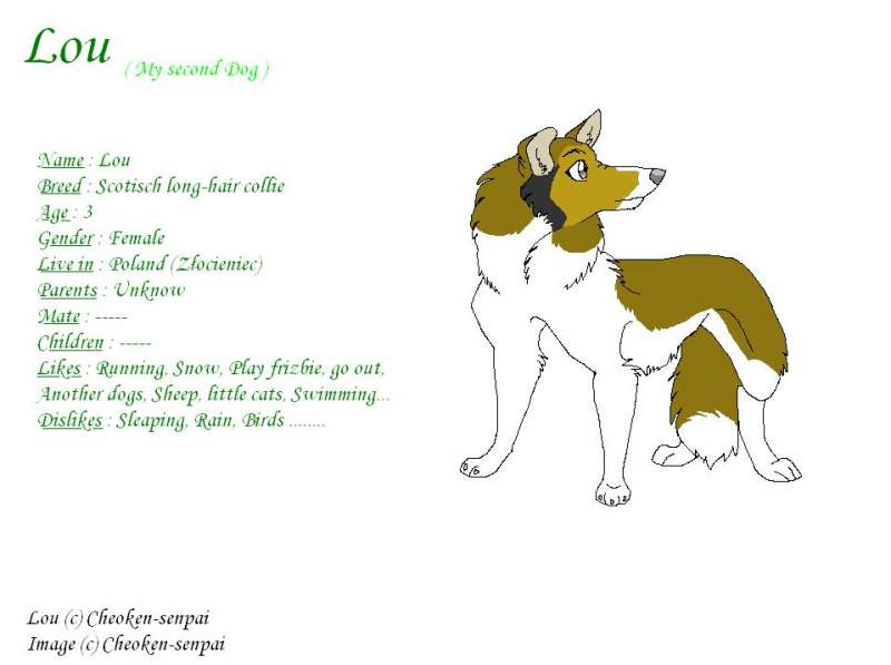 Lou ( my second Dog )