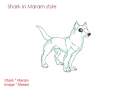 For Pancha