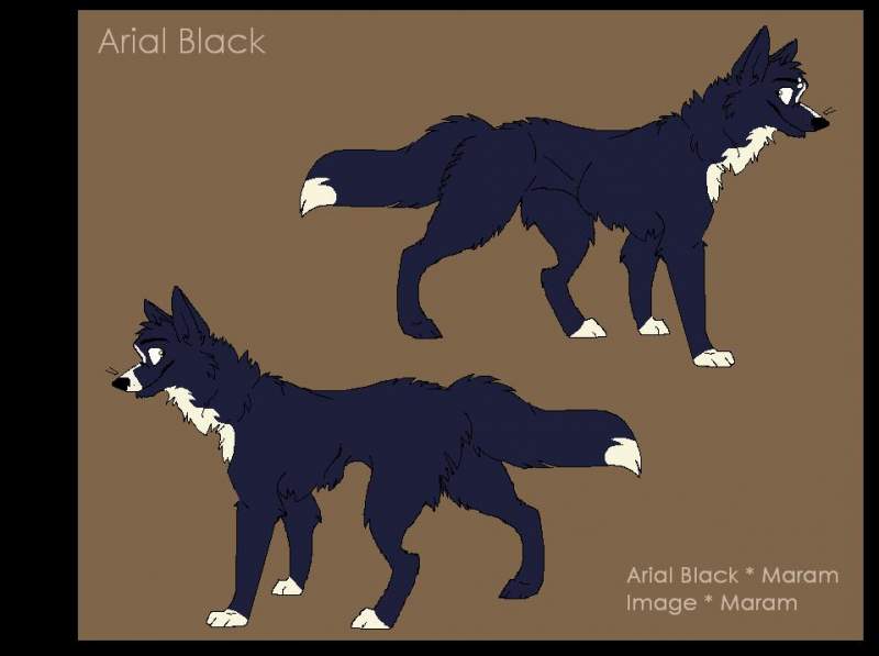 Arial Black