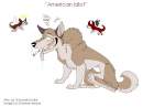 Aleu the  American Idiot 