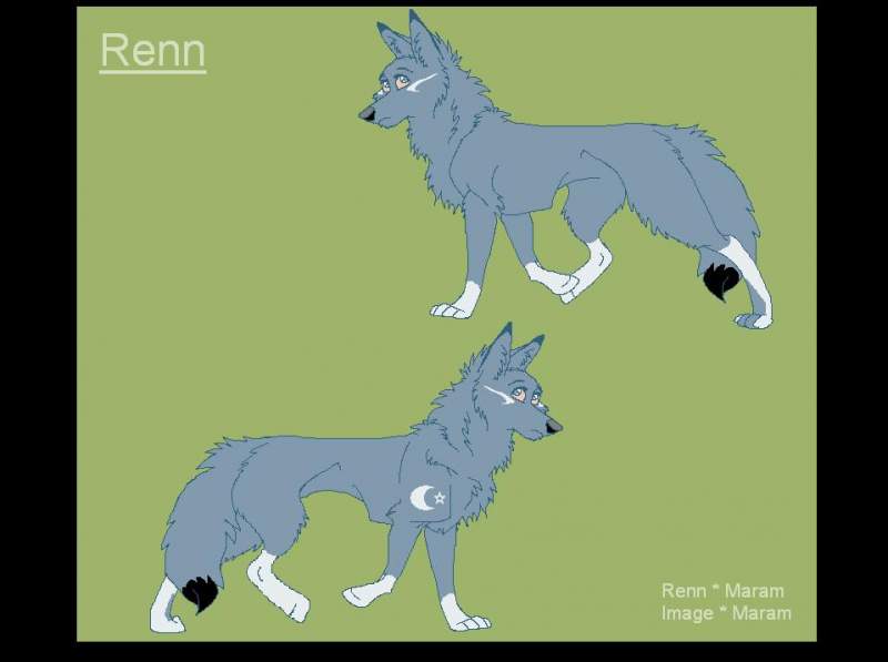 Renn