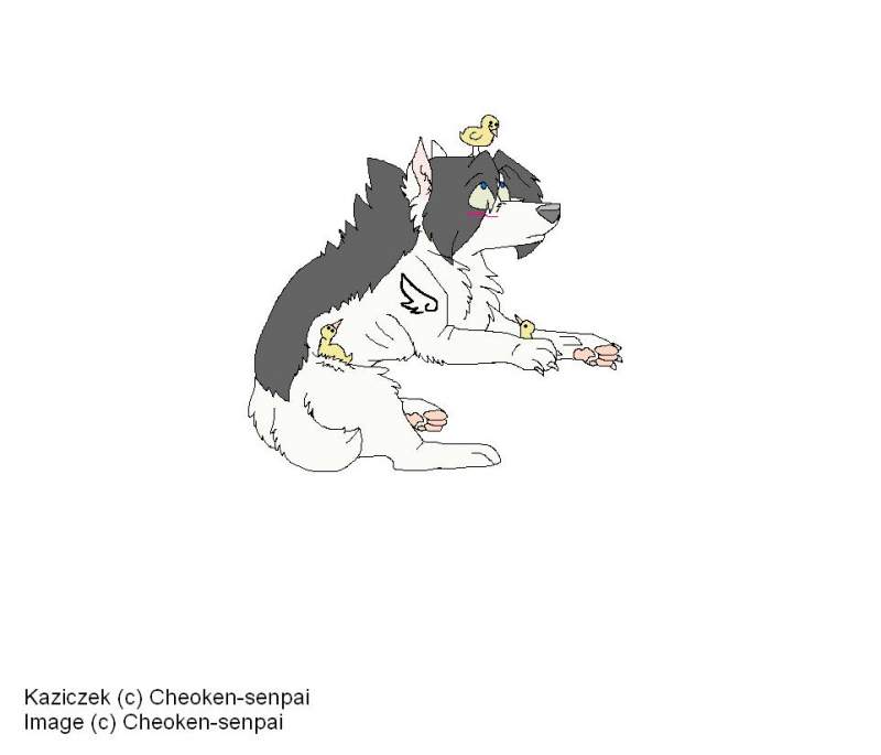 Kaziczek and chickens ?