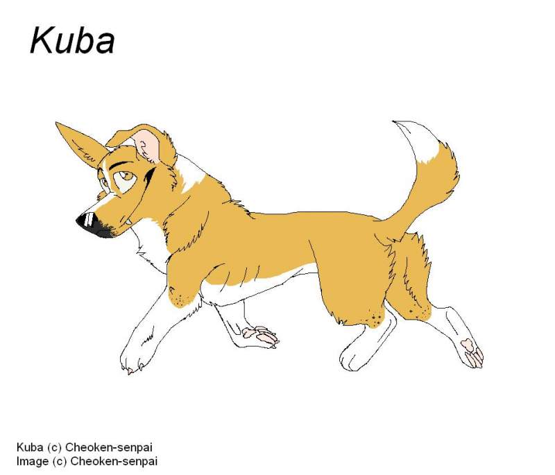 Kuba