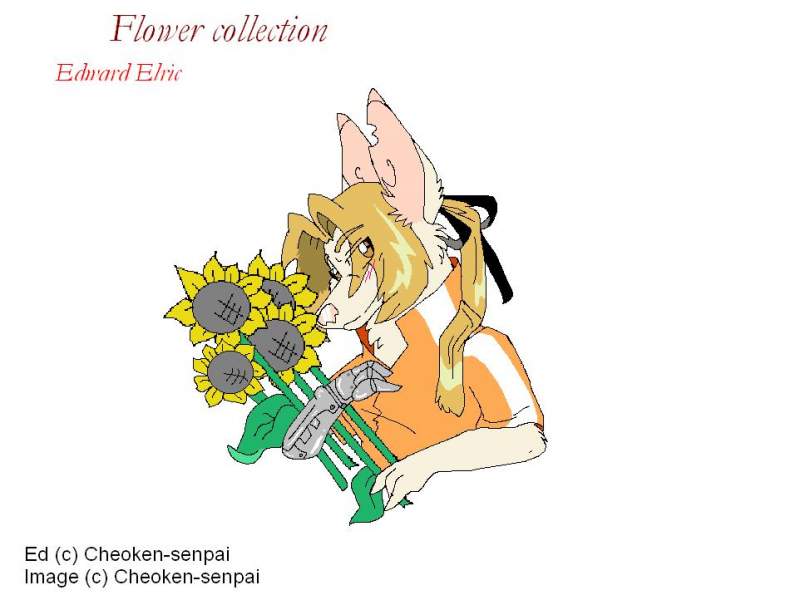 Flower collection ::EDWARD ELRIC::