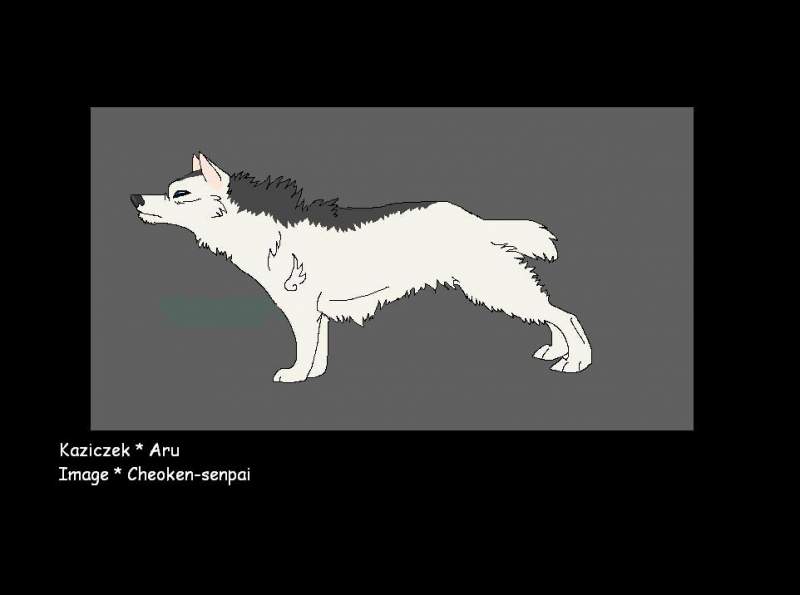 Kazik in Wolf's Rain style
