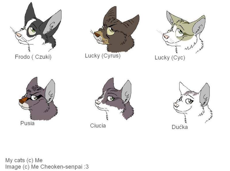 All my Cat's