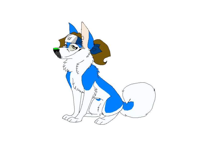 Akita ::Full body::