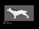 Kazik in Wolf's Rain style