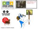STOP BSL !!!!!!!!!!!