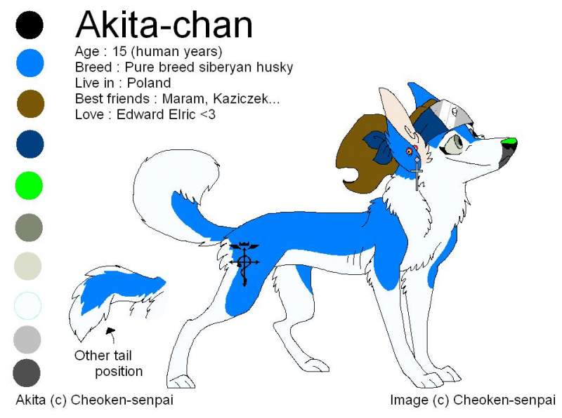 ::AKITA-CHAN::