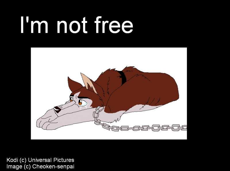 Kodi is not Free
