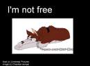 Kodi is not Free