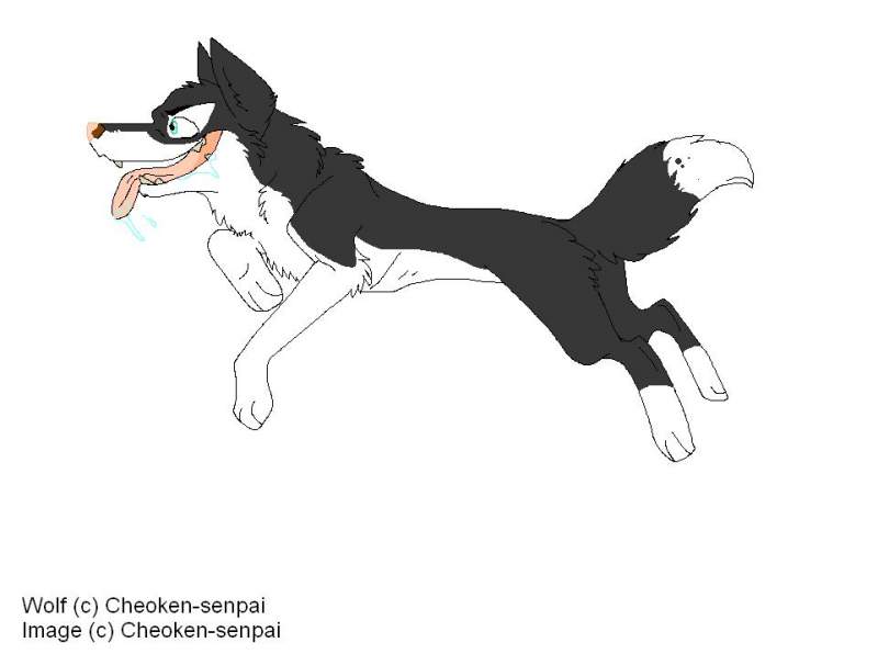 Jump Wolf !