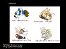 Charasters 2