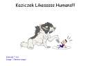 Kaziczek likesssss Humans !!