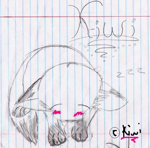 kiwi!!!!!