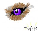 eye in gimp!
